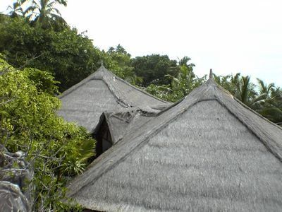 Thatch Roofing