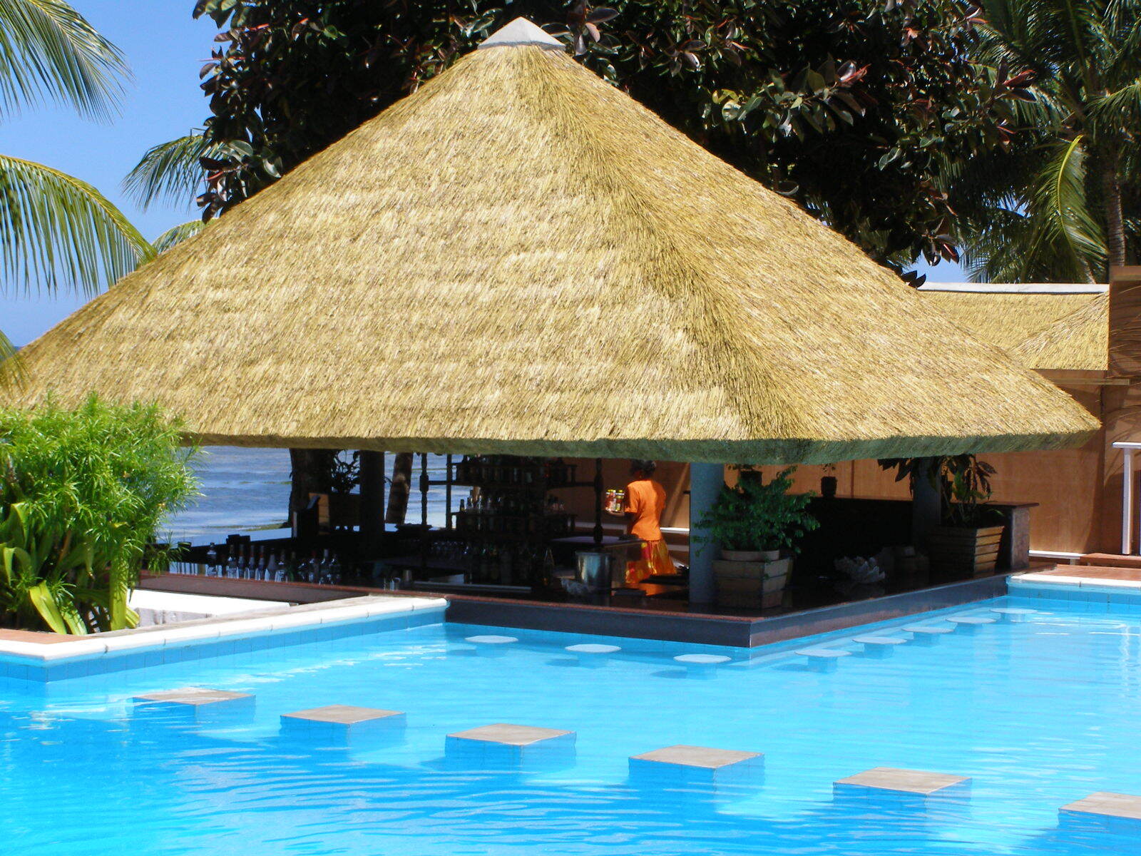 Thatch Roofing