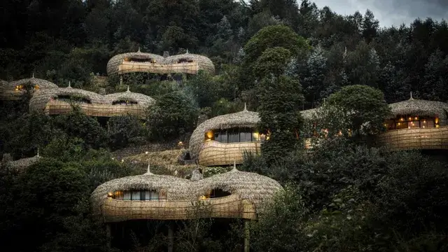Thatch Roofs
