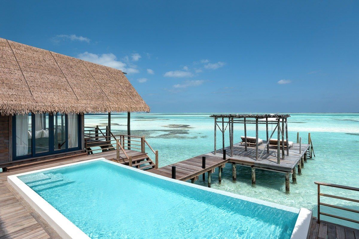 Roof Thatch