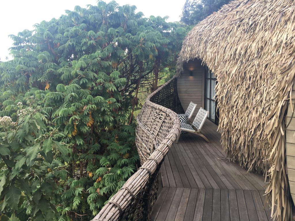 Thatch Roofing