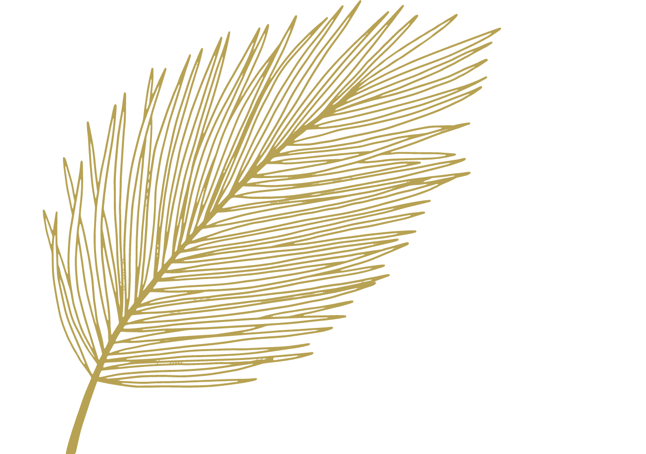 Thatch Roofing