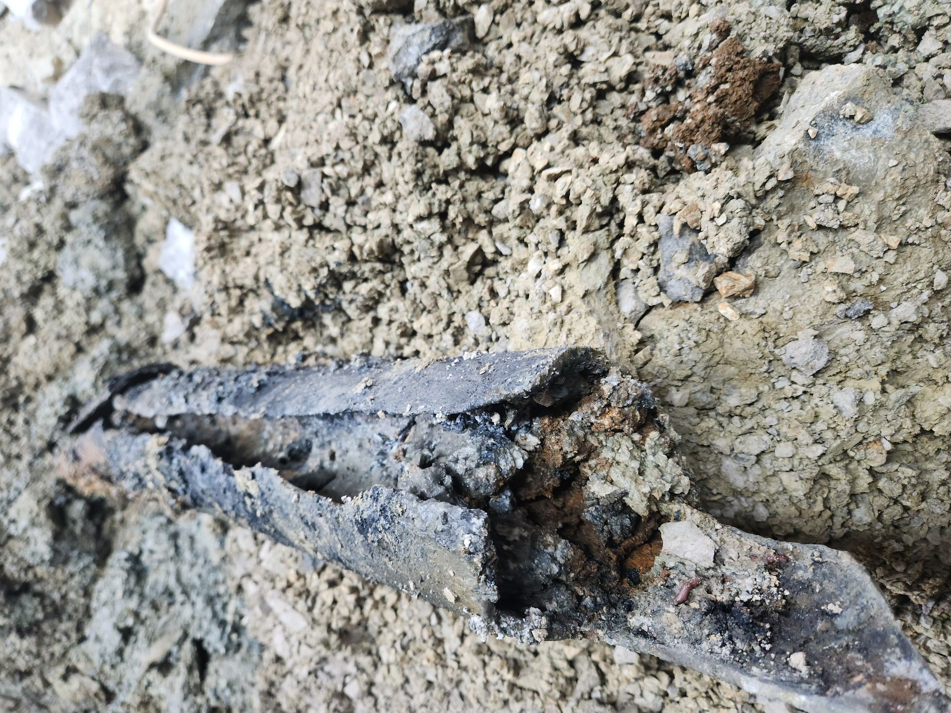 Close-up of a small moth camouflaged on rough dirt and gravel