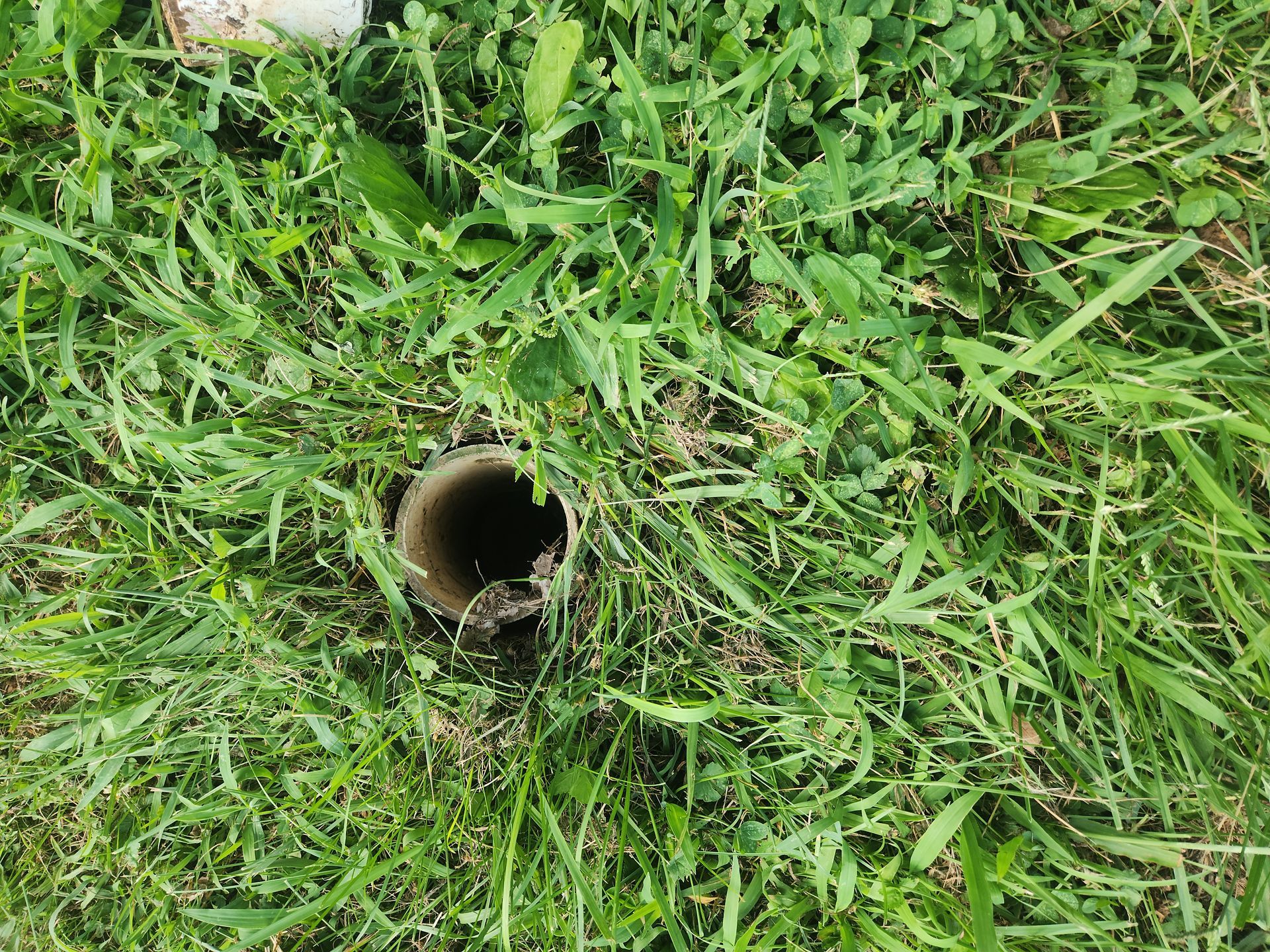 Small metal pipe opening in green grass and weeds