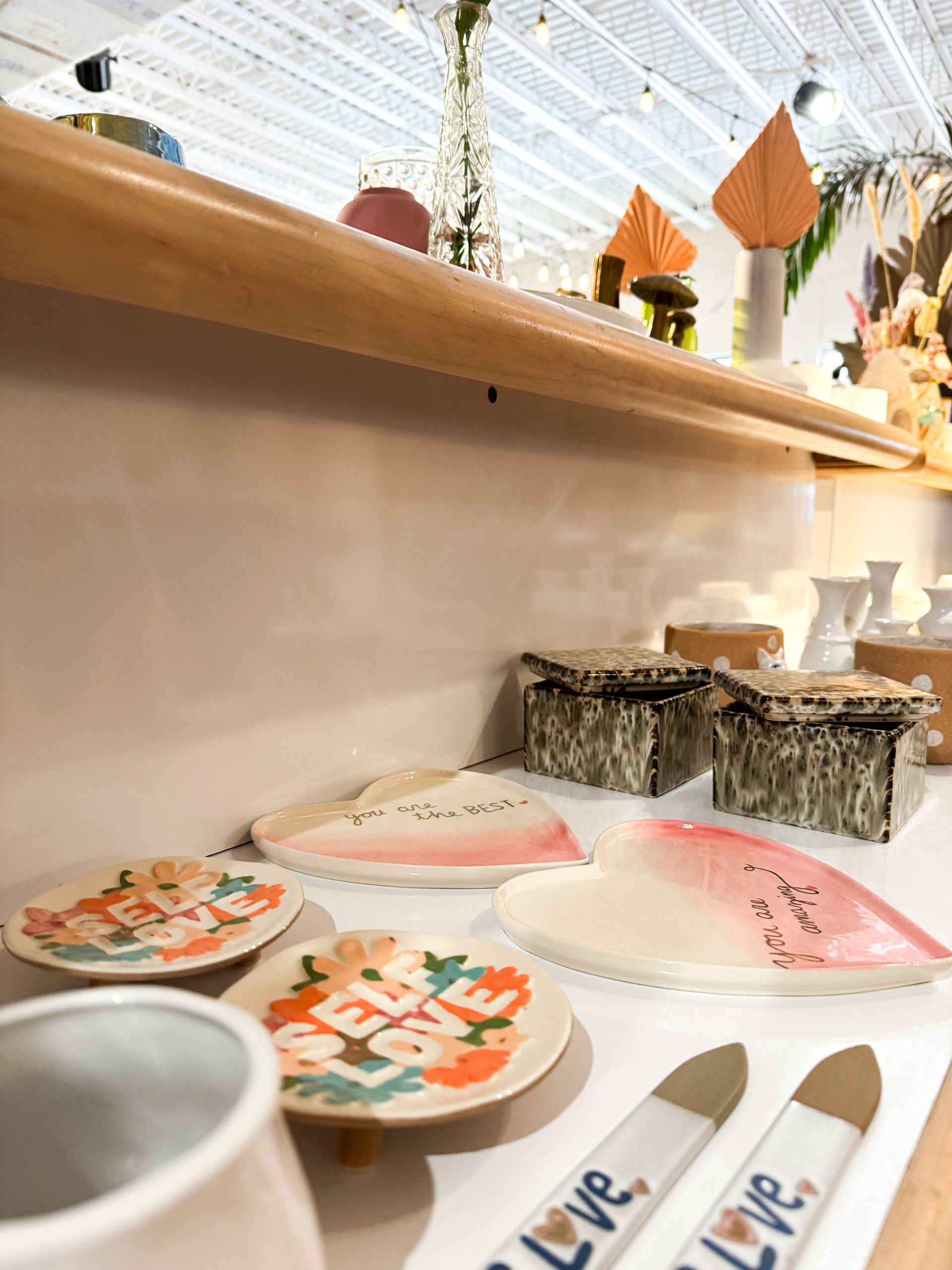 Unique gifts, plants, and home décor displayed inside Kiwi & Fern, a gift shop in Winter Park