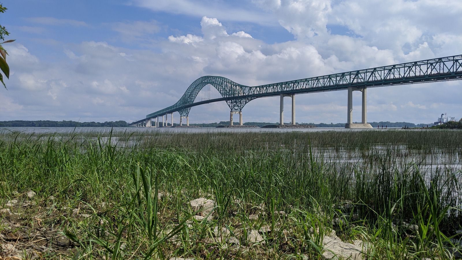 Un pont au-dessus d'un plan d'eau avec beaucoup d'herbe au premier plan.