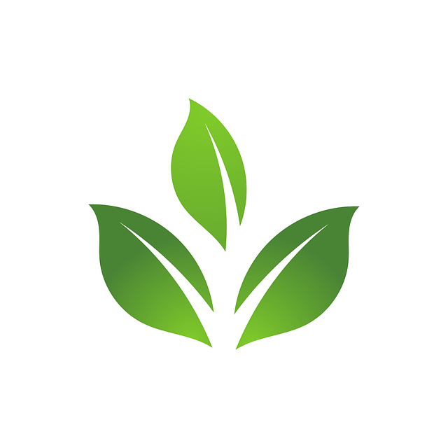 Eco-Friendly Product Store | CFO Group