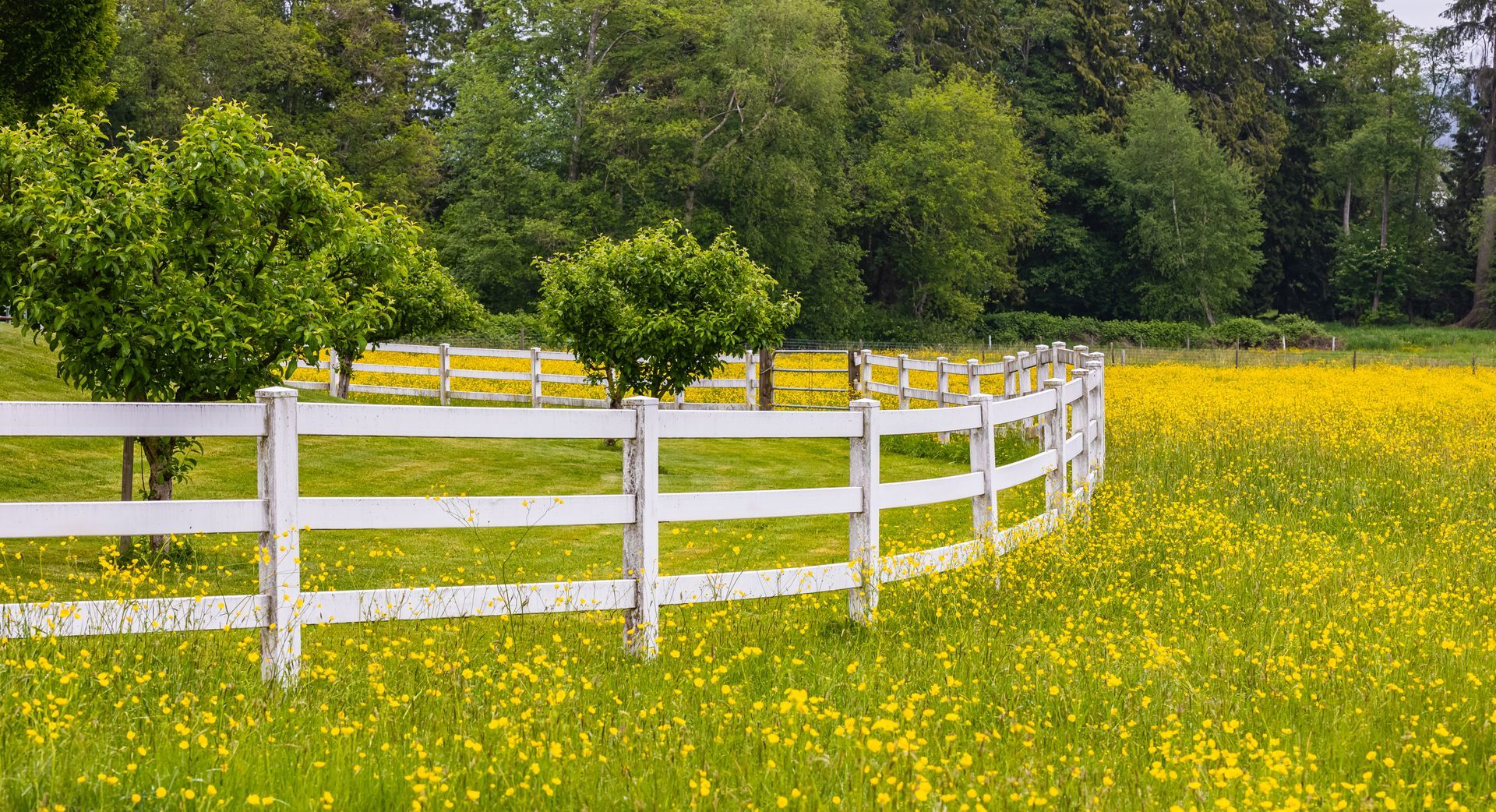 Fence replacement contractor in Northwest Houston, TX