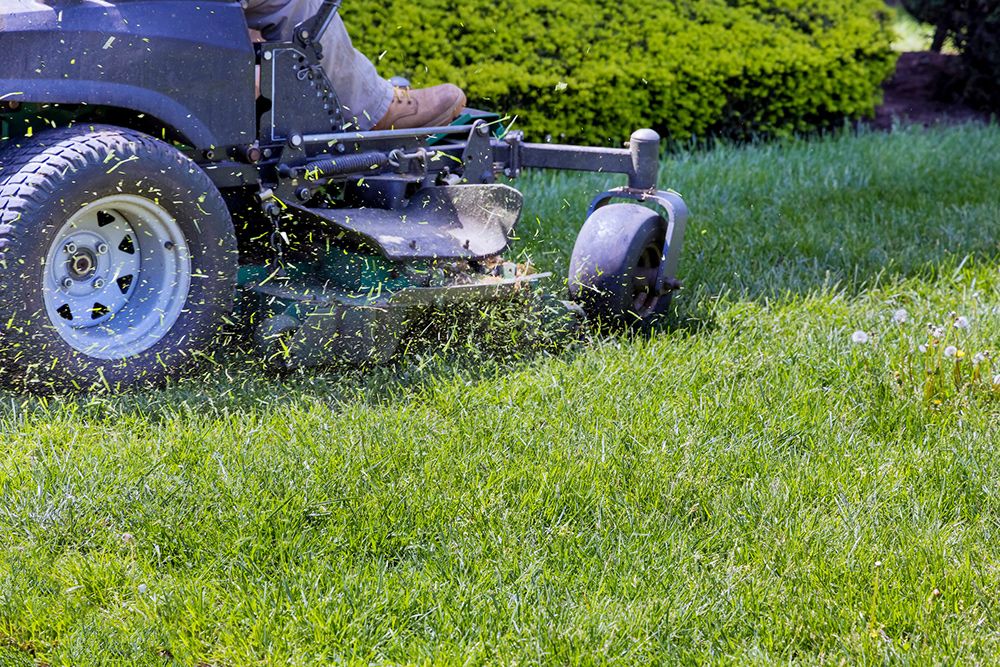 Lawn mower cutting green grass in a yard, with a person's leg and foot visible.
