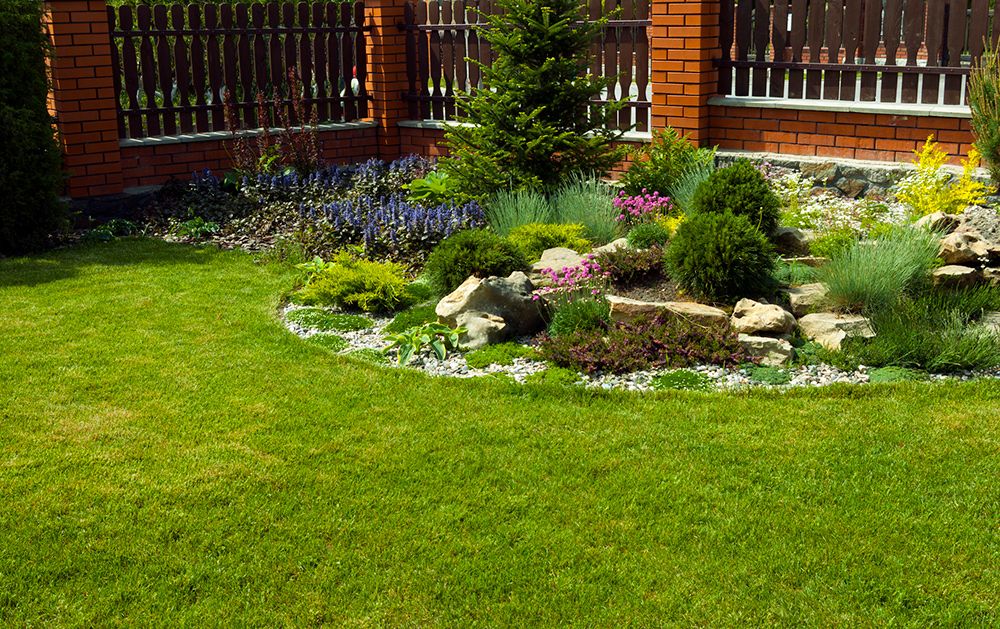 Green lawn curves around a flower bed with rocks, shrubs, and a fence in the background.