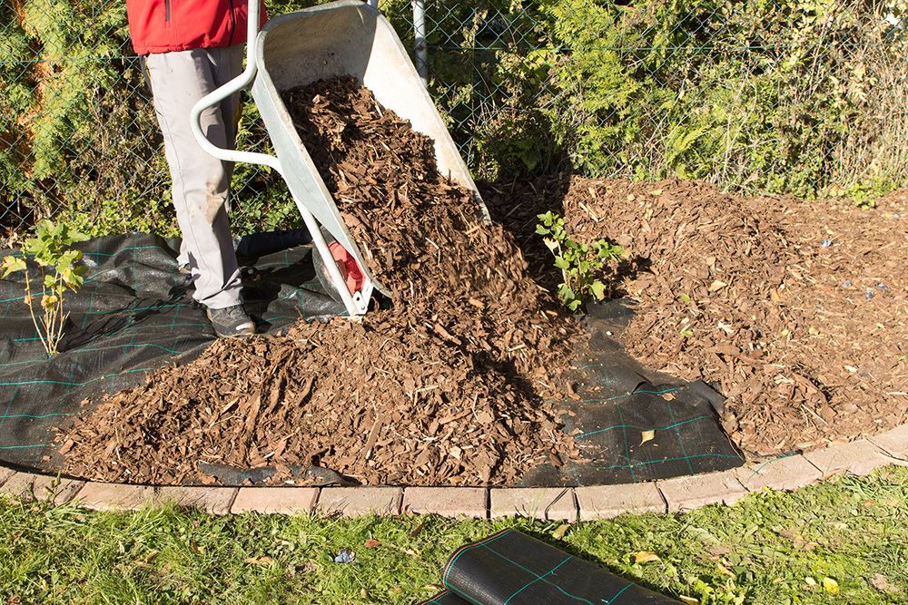 Person in red jacket using a wheelbarrow to spread mulch onto a garden bed covered in black landscape fabric.