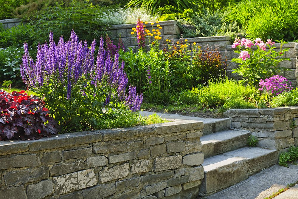 Stone-walled garden with purple, pink, and yellow flowers cascading down, leading to a set of stone steps.