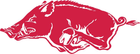 A red boar is running on a white background.