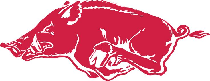 A red boar is running on a white background.