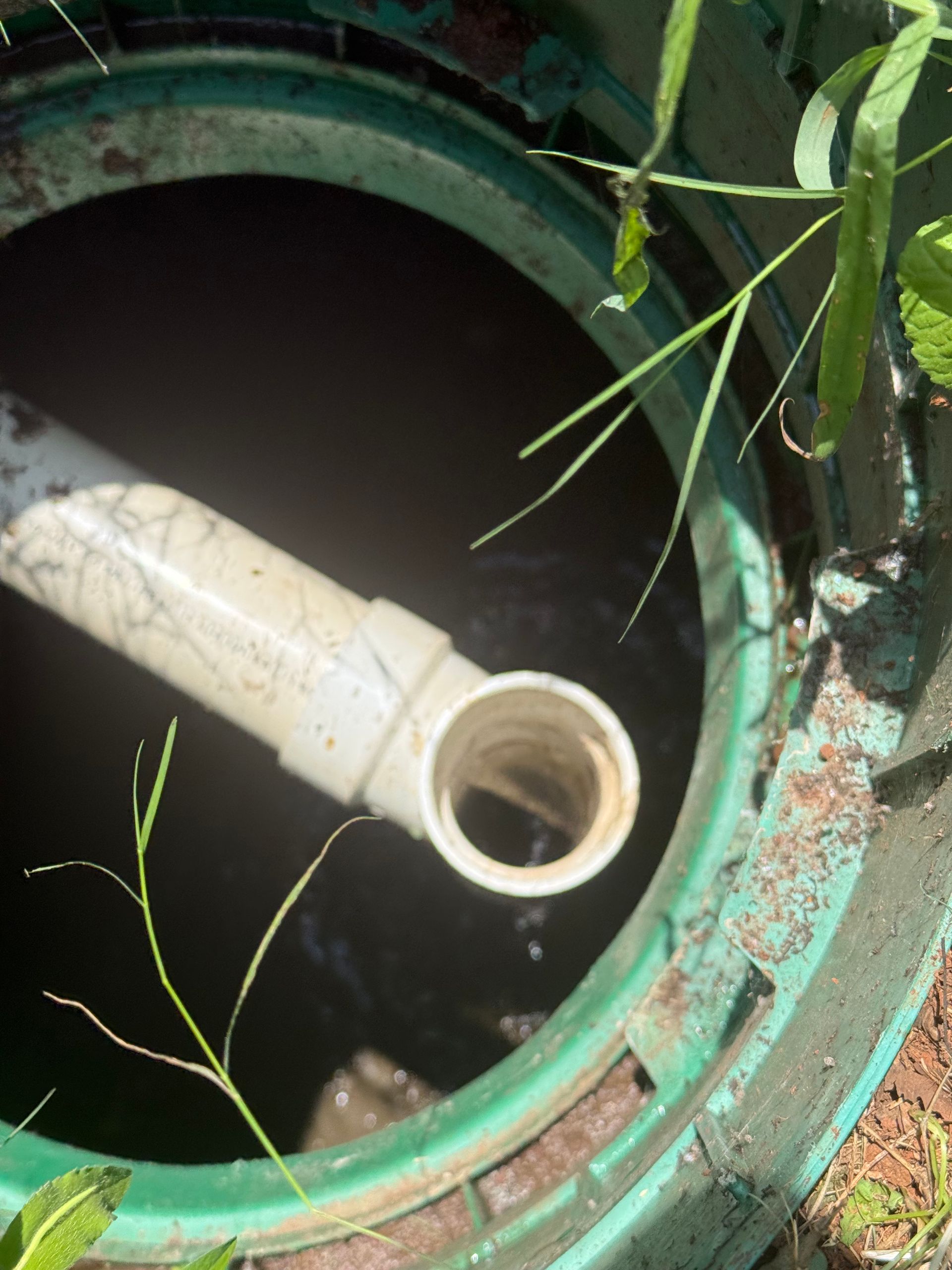 White pipe inside a green manhole opening surrounded by wet grass and leaves