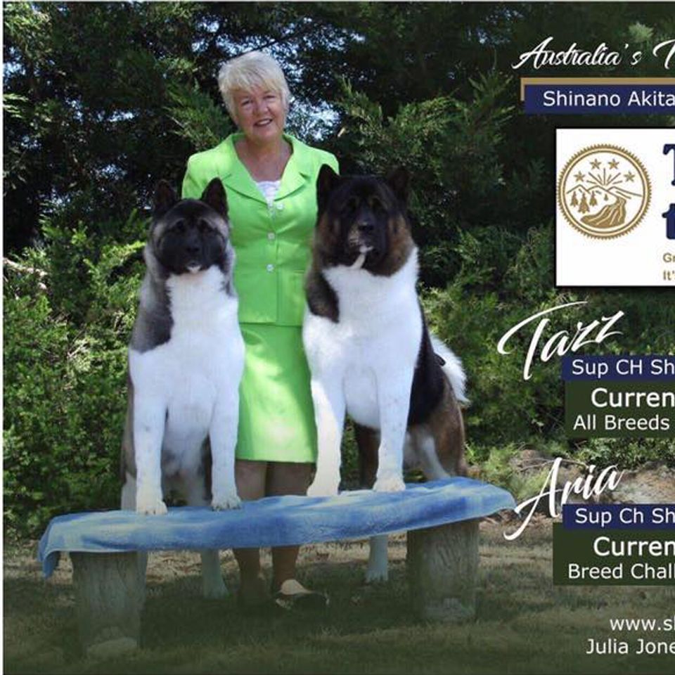 Testimonials KCR Pet Transport