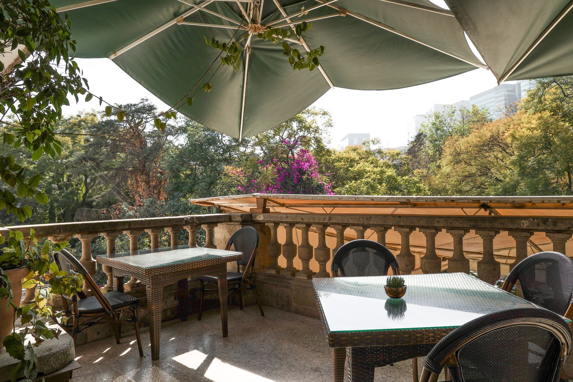 Patio con mesa y sillas bajo una gran sombrilla verde, con vistas a un exuberante jardín y colinas.