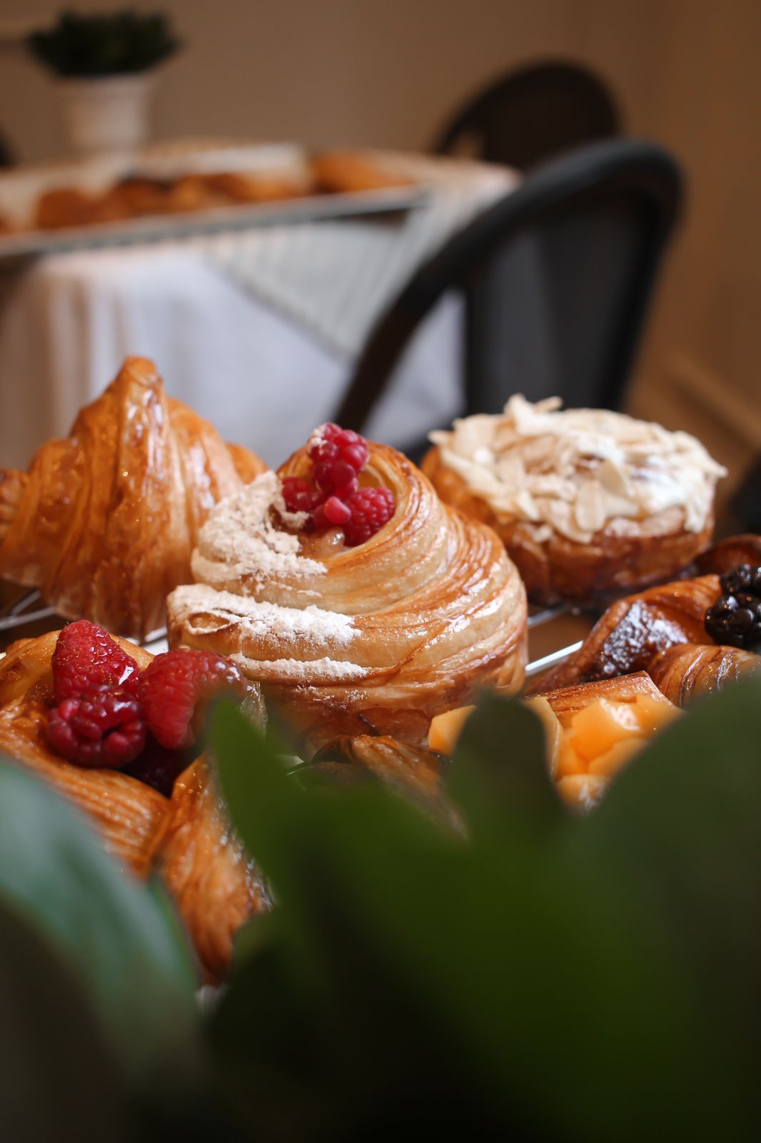 Pasteles variados espolvoreados con azúcar glas y cubiertos con frutos rojos en una bandeja en un ambiente de cafetería.