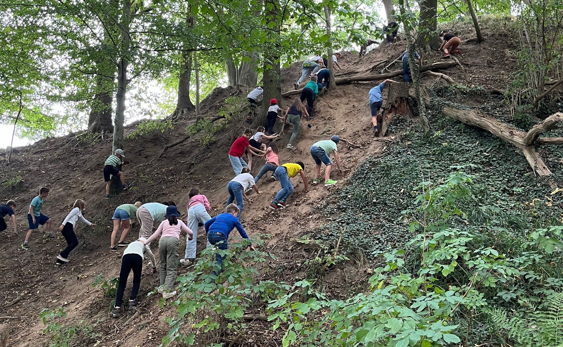 Viertklässler der Schule Iserbrook klettern in der Wolfschlucht