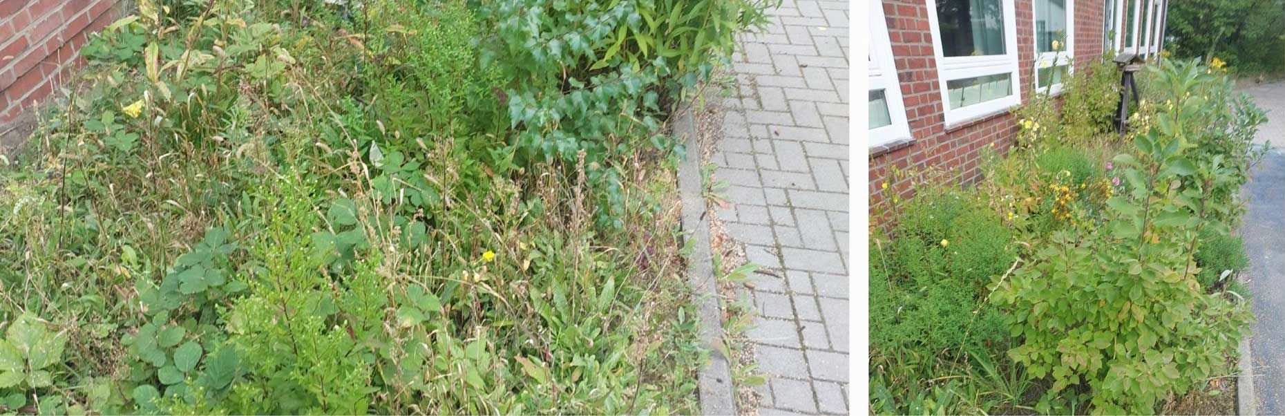 Fotos vom „Zwiebeltag“ an der Schule Iserbrook