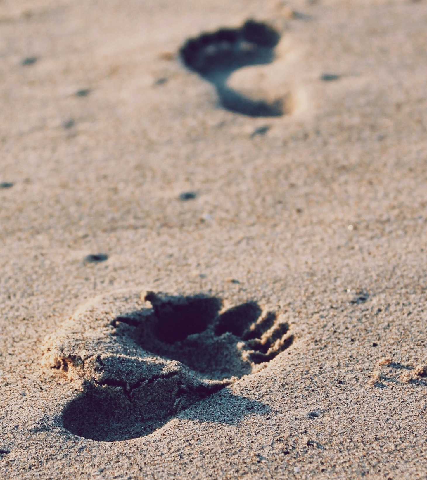 Footprints in Sand