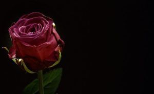 funeral in Glenwood Springs, CO