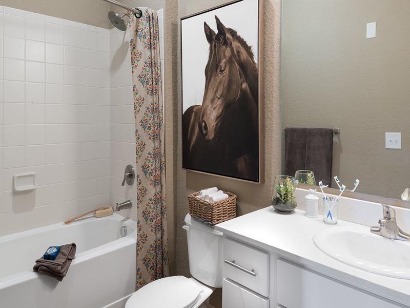 Gallery Luxury Apartments for Rent Huntersville, NC