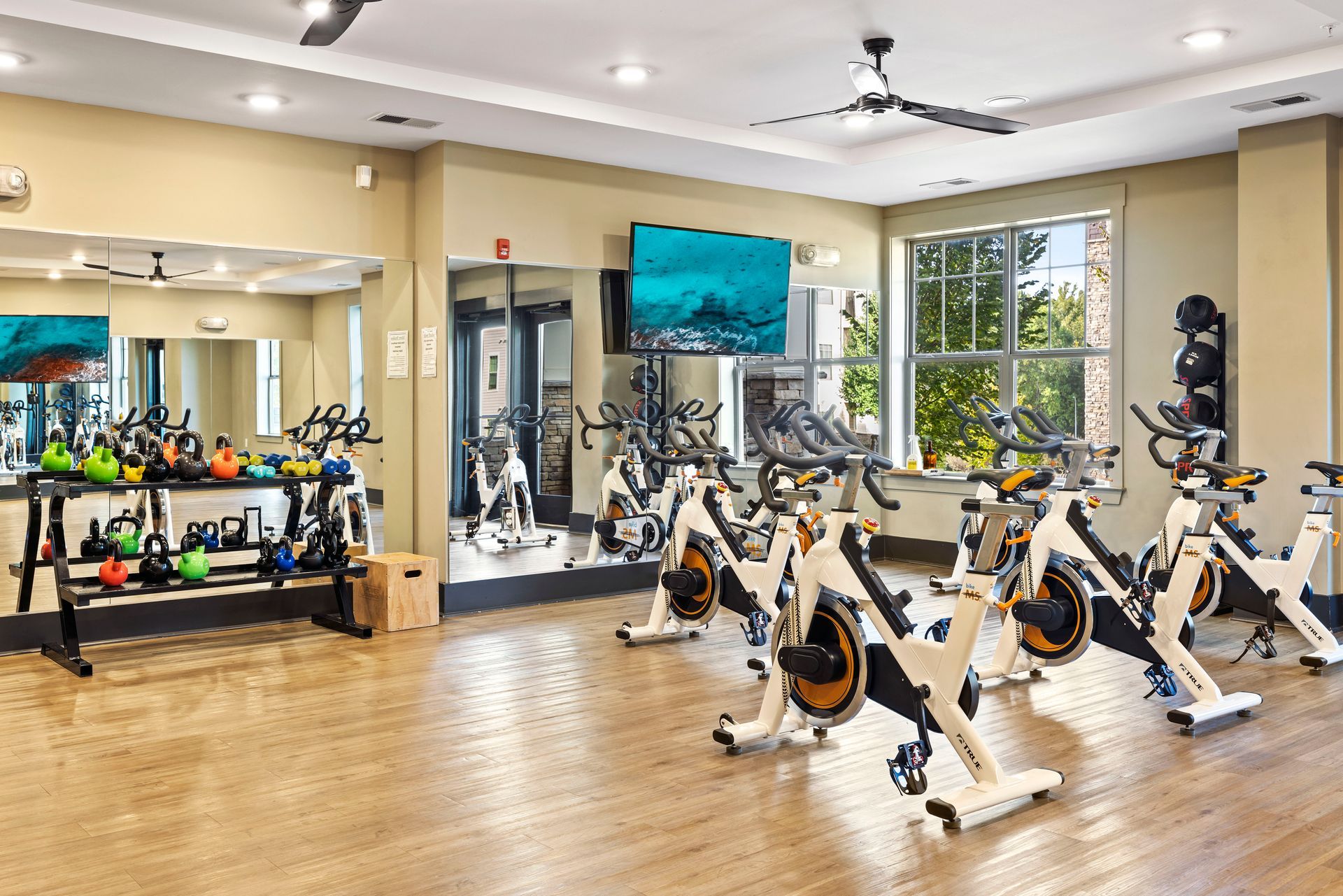 Spin class studio with exercise bikes, weights, mirrors, and a TV. The room has wooden floors and a window at Silver Collection at the Park.