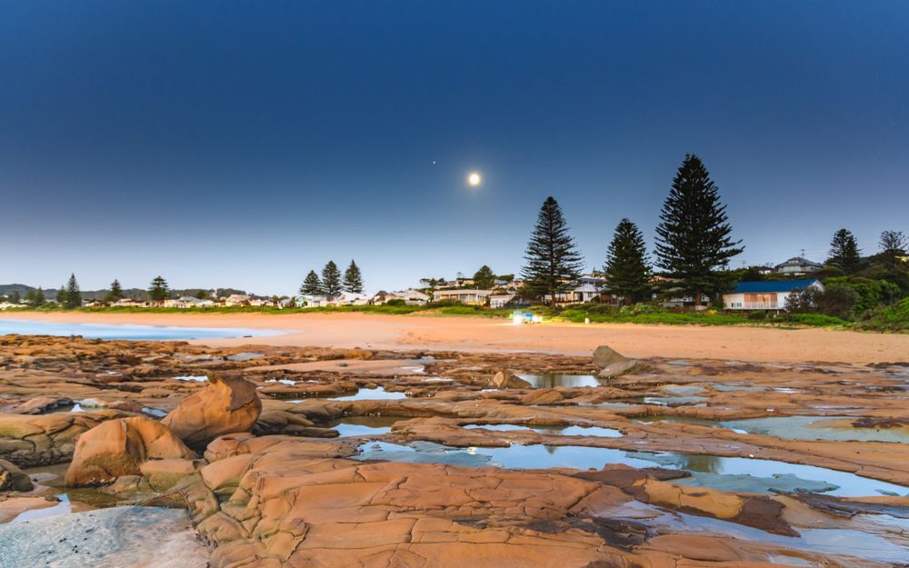 A Beach With Rocks And Trees And A Moon In The Sky — BAS Plumbing & Drainage In Avoca Beach, NSW