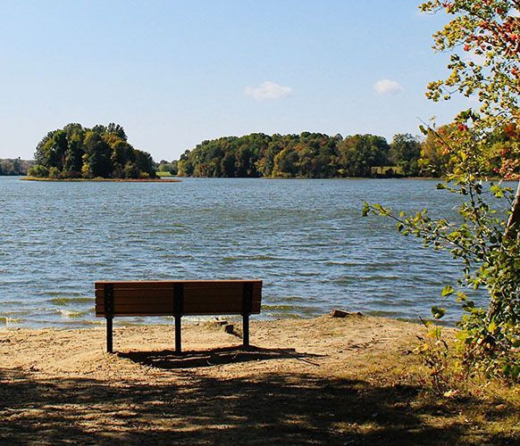 bench by pond