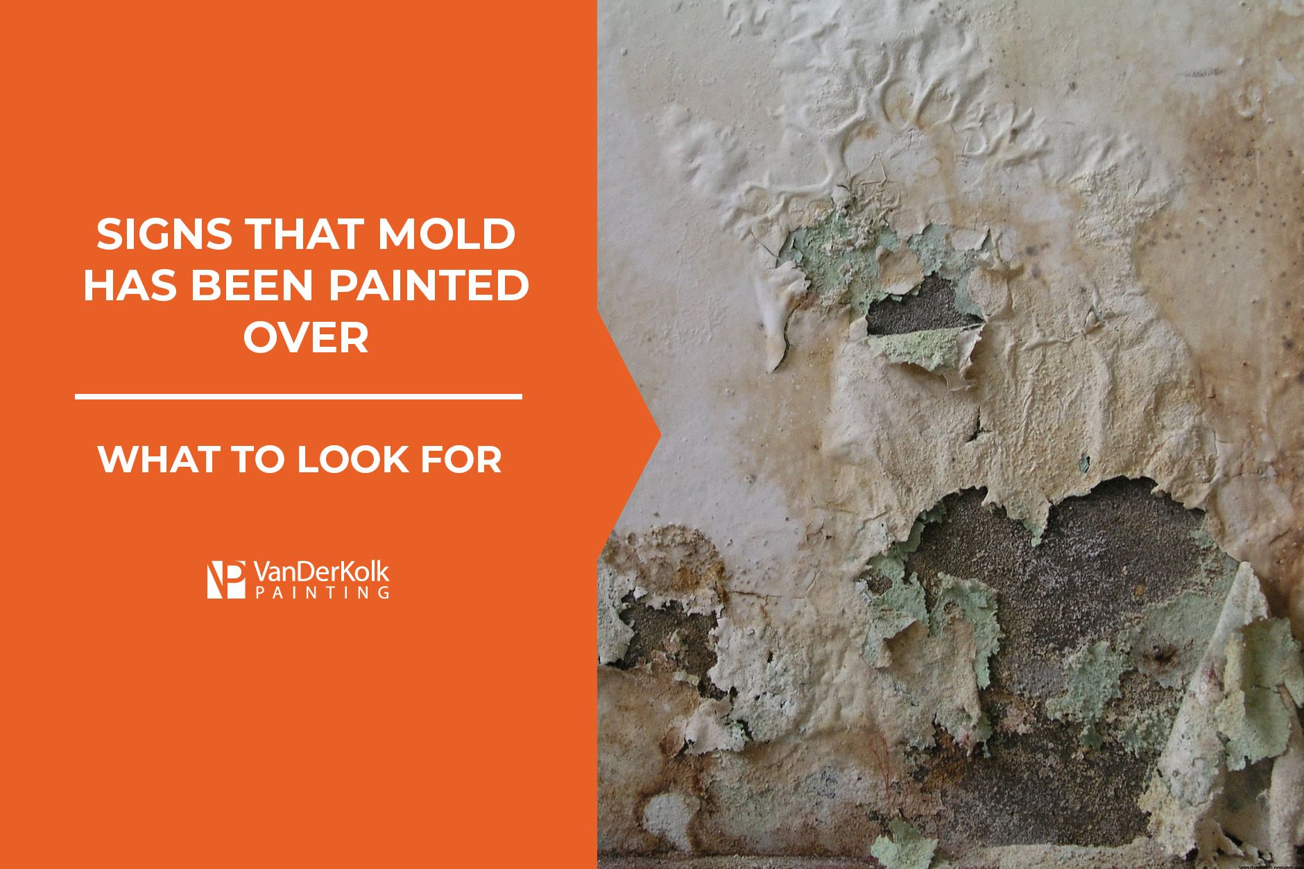 Signs That Mold Has Been Painted Over