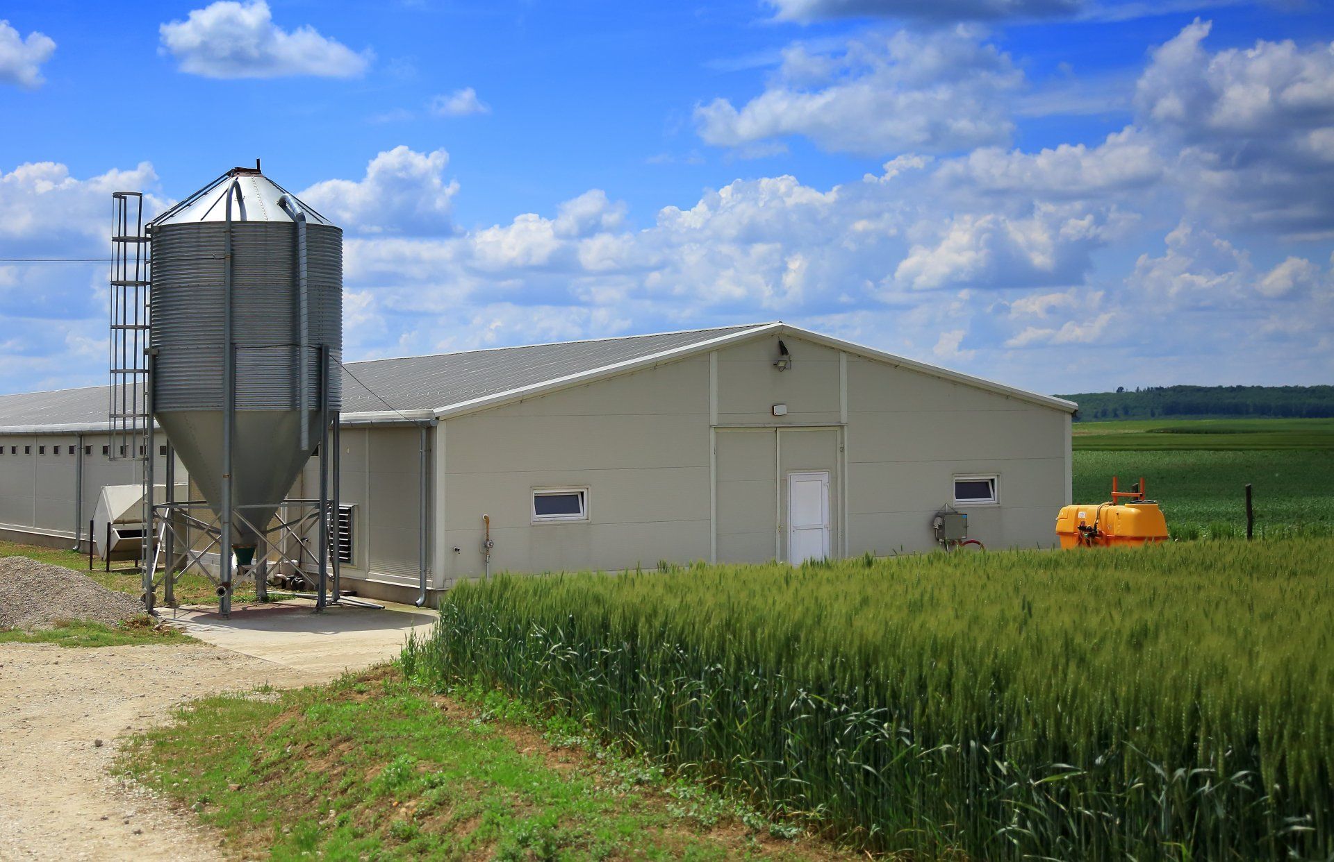 Agricultural Painting