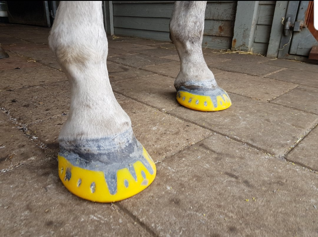 plakschoenen paard