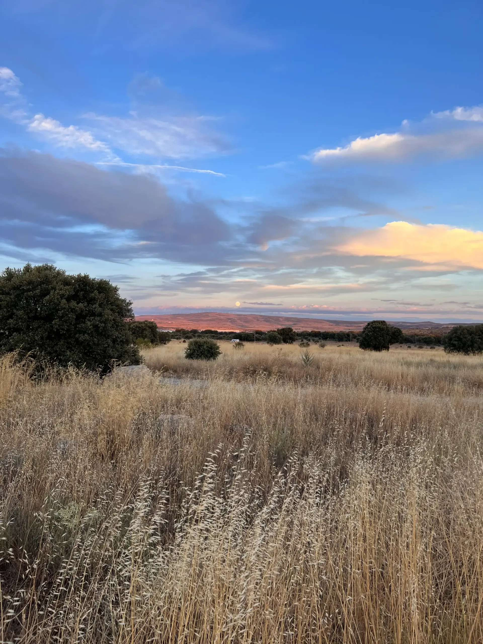 Campo de hierba en primer plano con un castillo de piedra bajo un cielo nublado.
