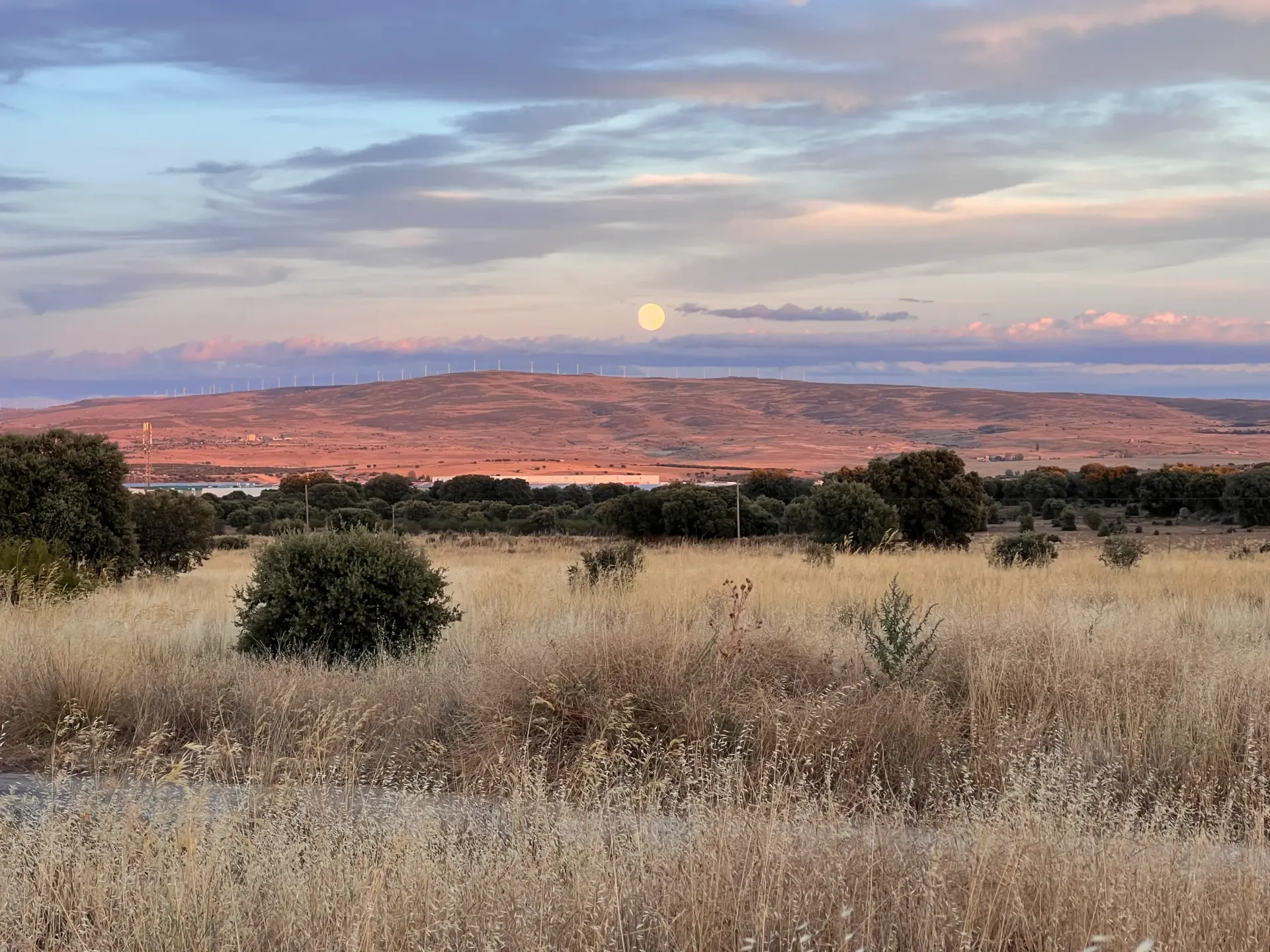 Paisaje desértico con hierba seca, arbustos dispersos y nubes rosadas al atardecer sobre colinas distantes.