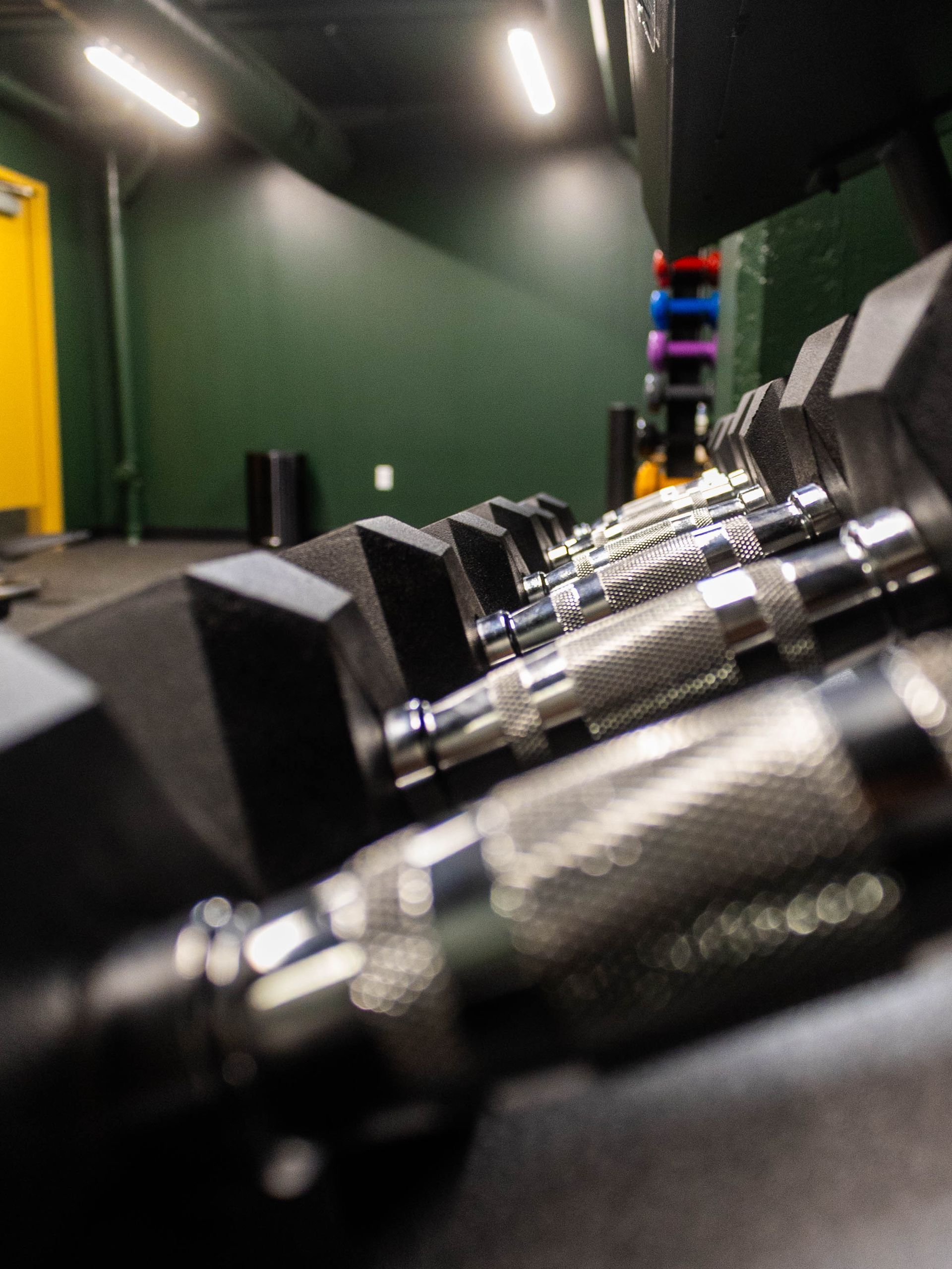 Row of dumbbells on a gym rack with green walls and overhead lights in the background