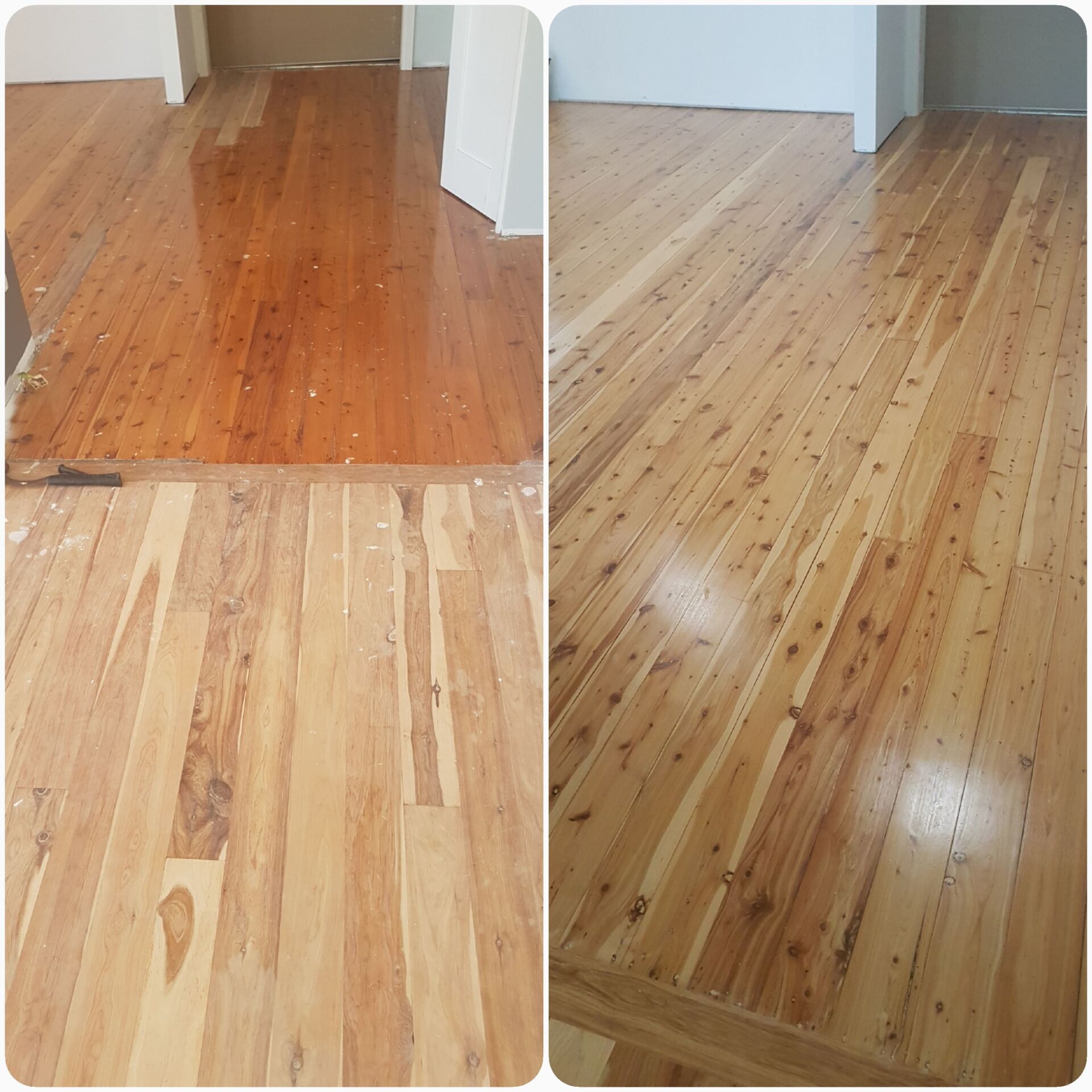 Office Space With Timber And Wooden Flooring — Timber Floor Sanding & Finishing In Newcastle, NSW