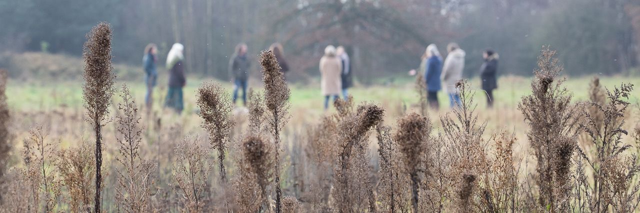 Verdroogde planten op de voorgrond, wazige figuren in jassen in een veld, bewolkte dag.