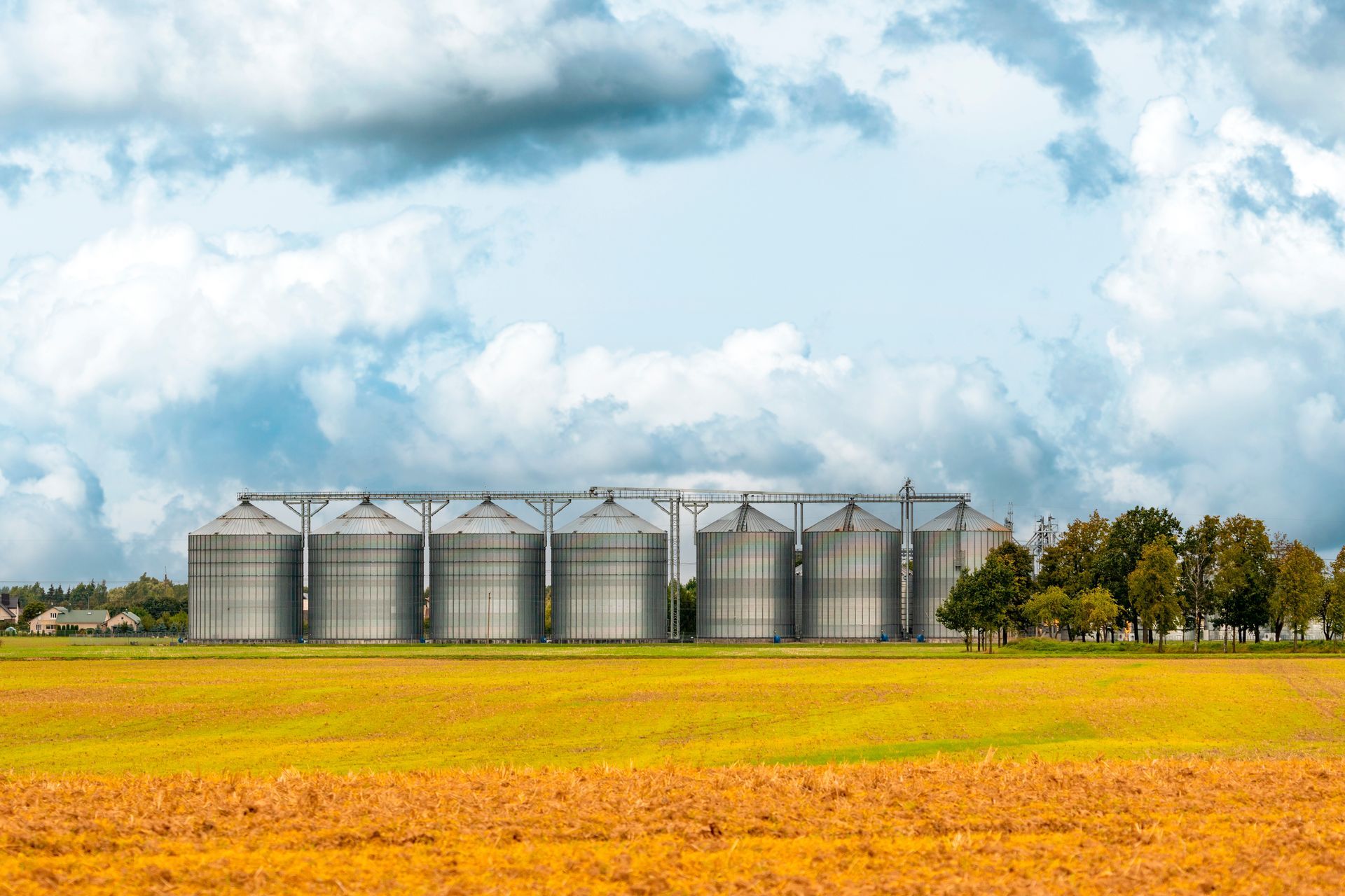 Silos à grains dans un champ de cultures jaunes sous un ciel partiellement nuageux.