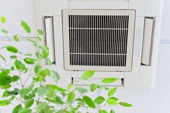 White ceiling air vent with a leafy green plant in the foreground.