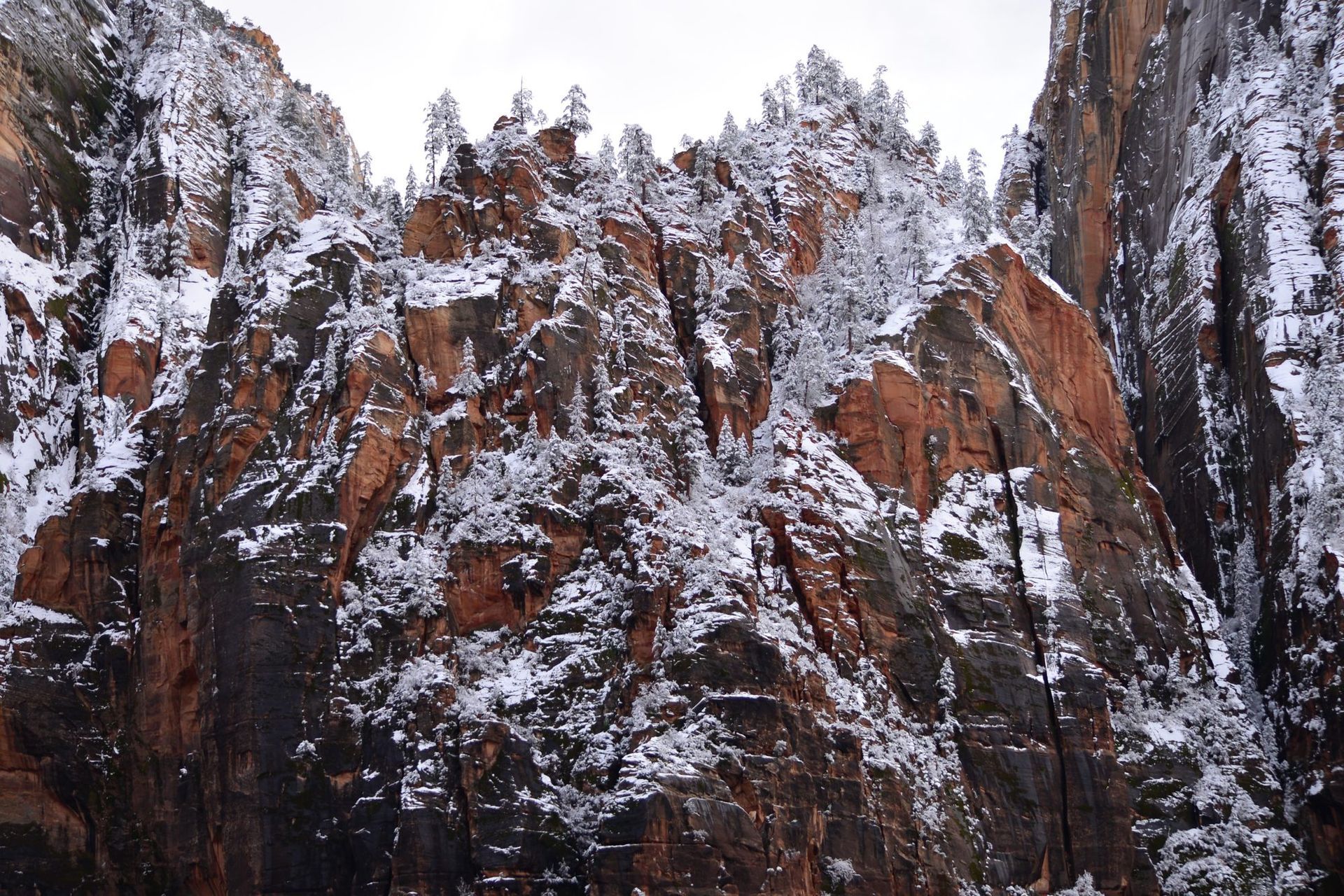 Snow-frosted cliffs near the Great White Throne in Zion Canyon.