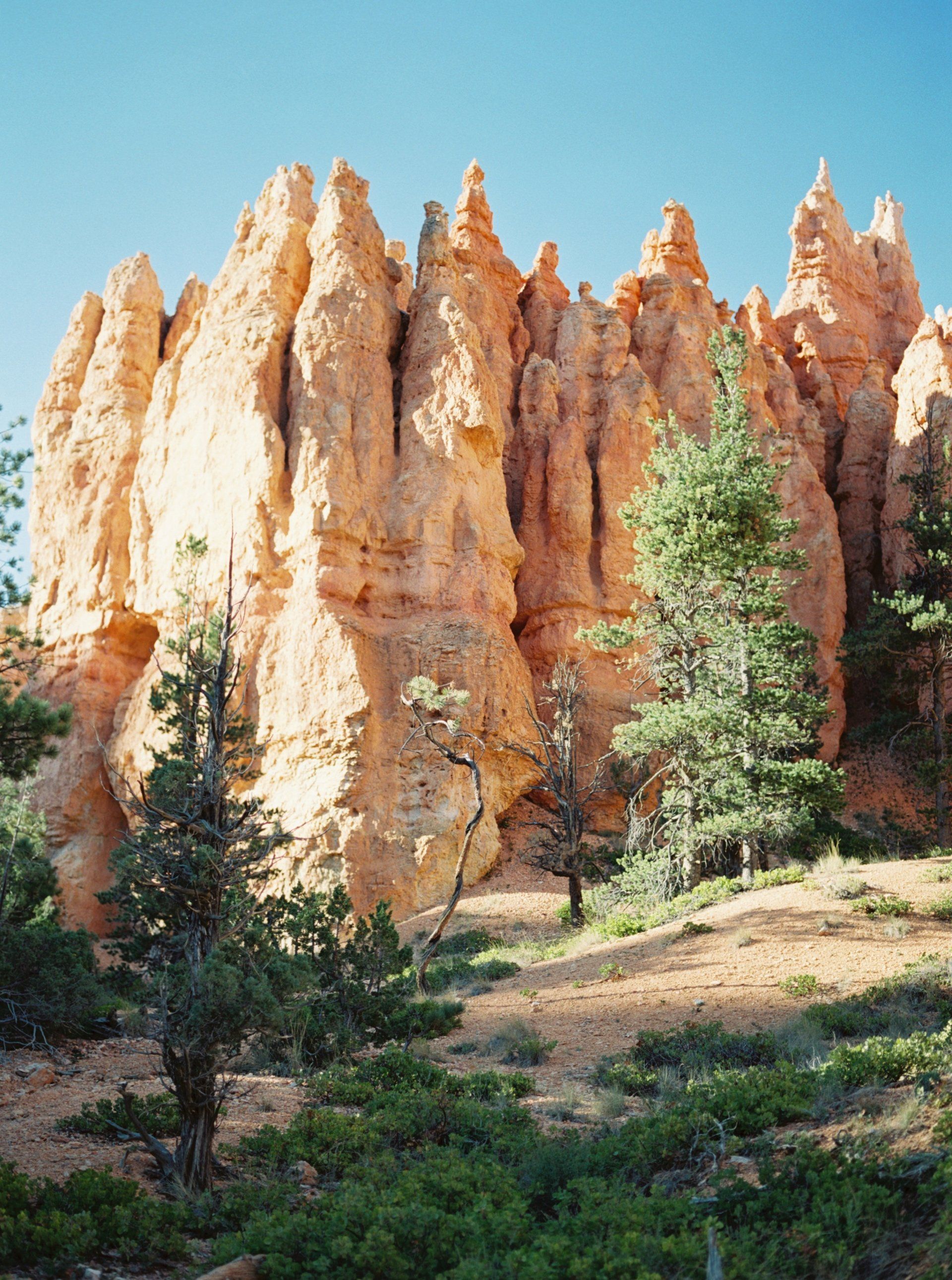 Stunning view of the unique hoodoo rock formations at Bryce Canyon National Park, bathed in golden sunlight.