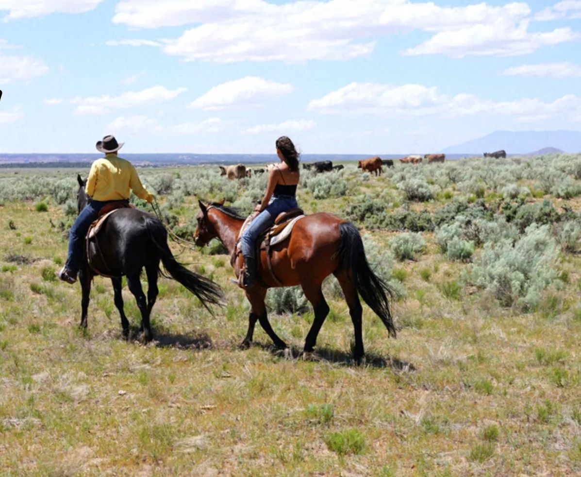 Two people on horseback, riding through a scenic landscape with cattle grazing in the background.