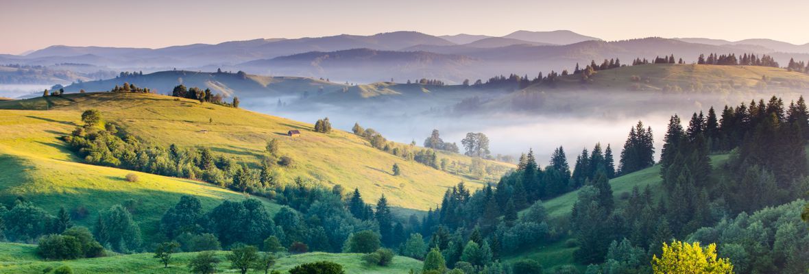 Sunlit green hills and evergreen forests under a hazy pastel sunrise, with distant mountains and mist