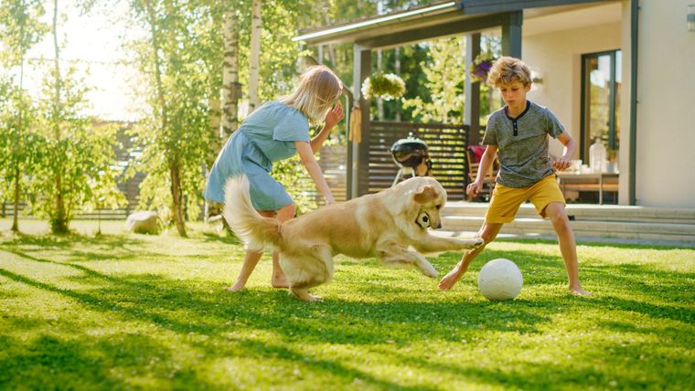 A magnifying glass held over a dead cockroach on a textured gray surface. Two children play with a golden retriever and a soccer ball on a sunny lawn in front of a modern house.