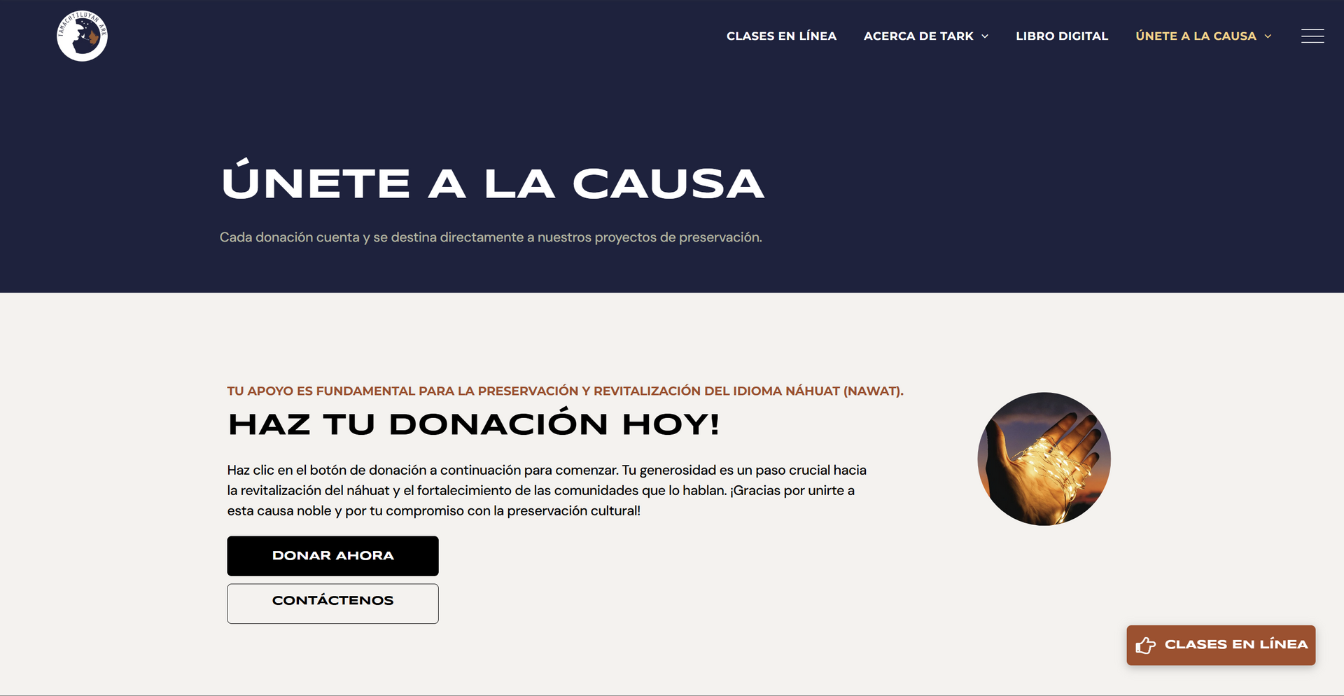Website promoting donations with