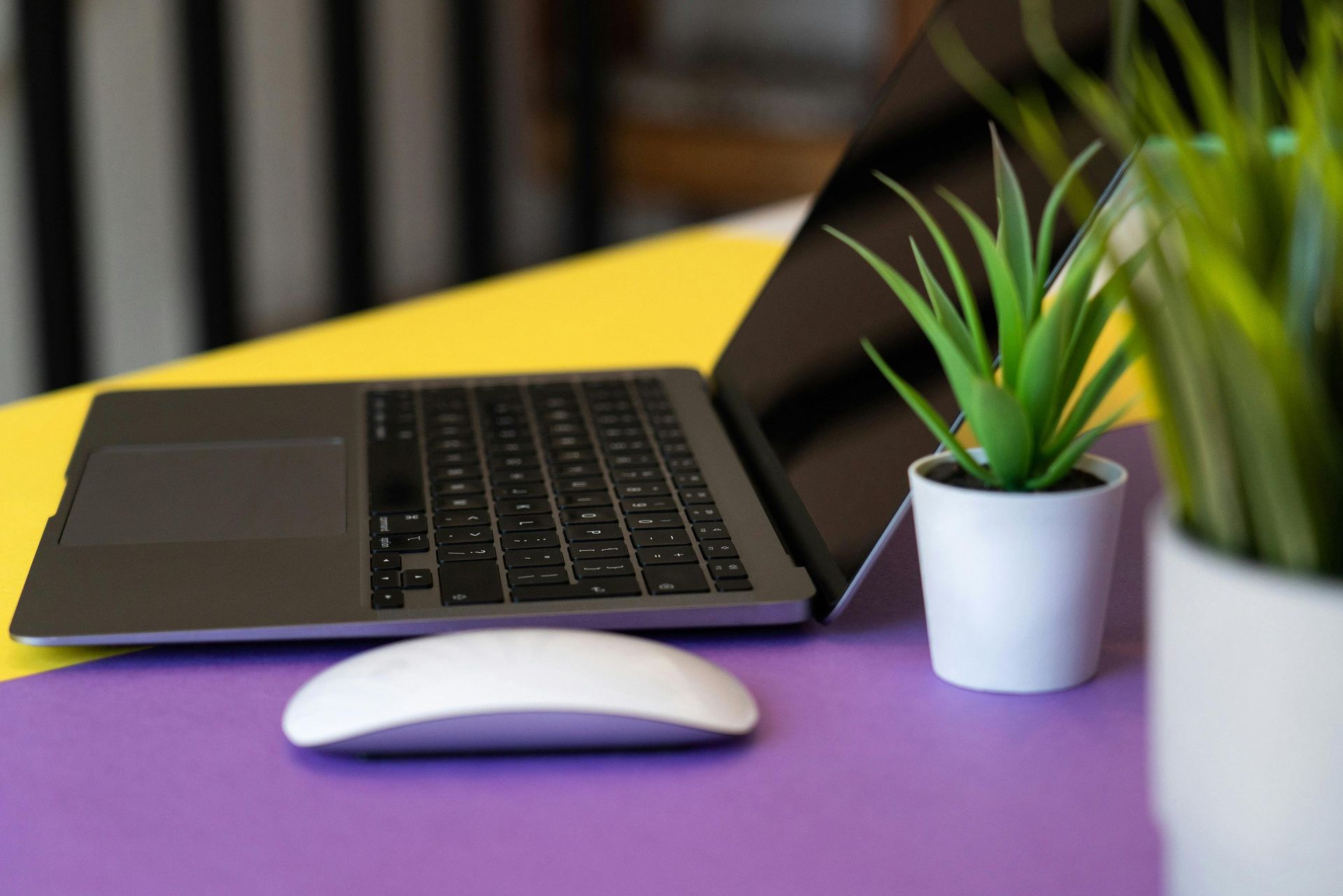 A laptop computer is sitting on a purple table next to a potted plant and a mouse.