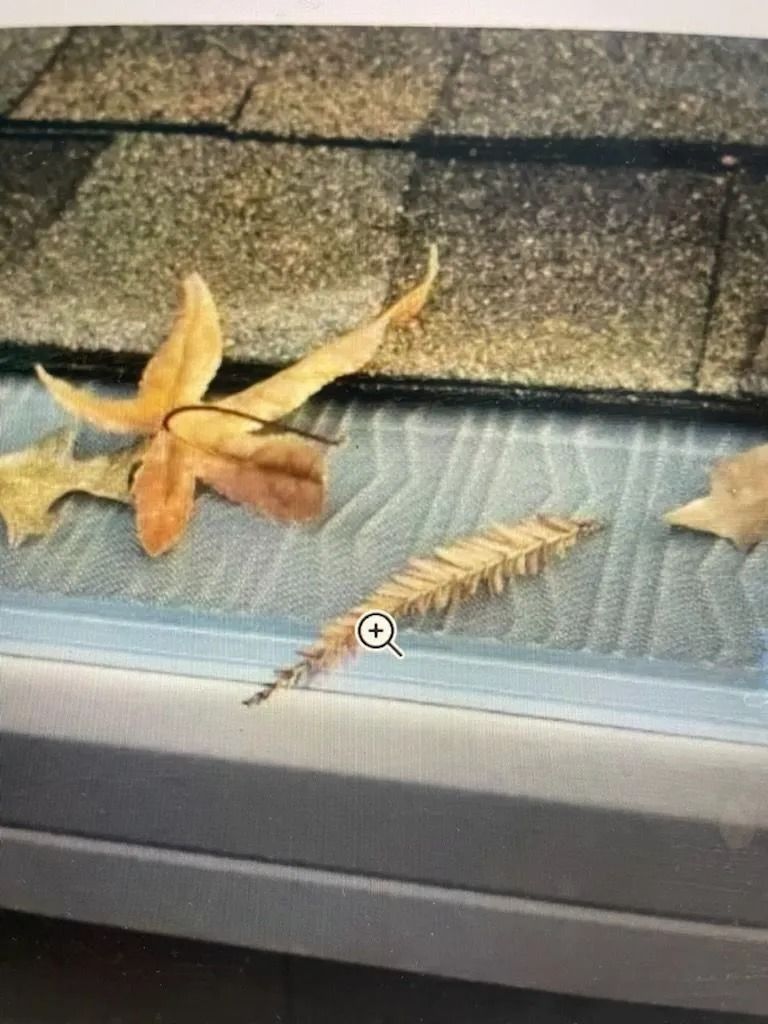 Dried leaves and a pine needle resting on a gray, mesh gutter guard installed below asphalt roof shingles.