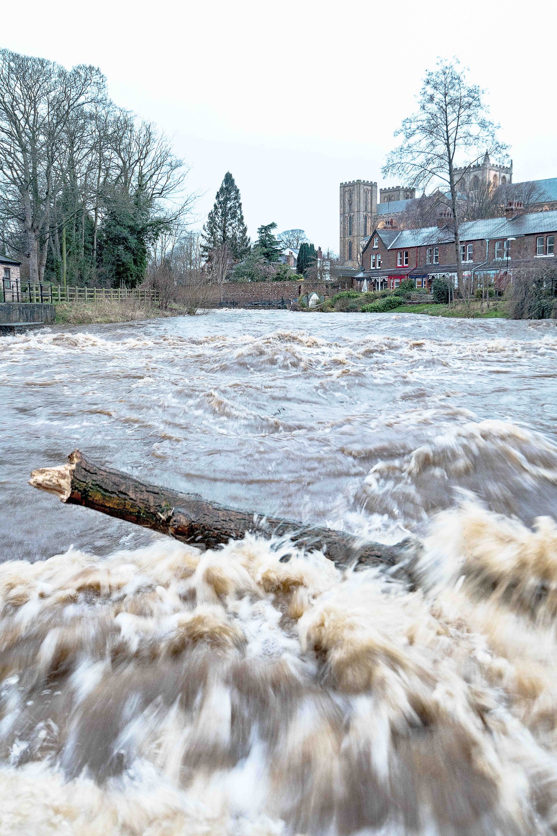 Debris in floodwater, River Skell, Ripon, North Yorkshire