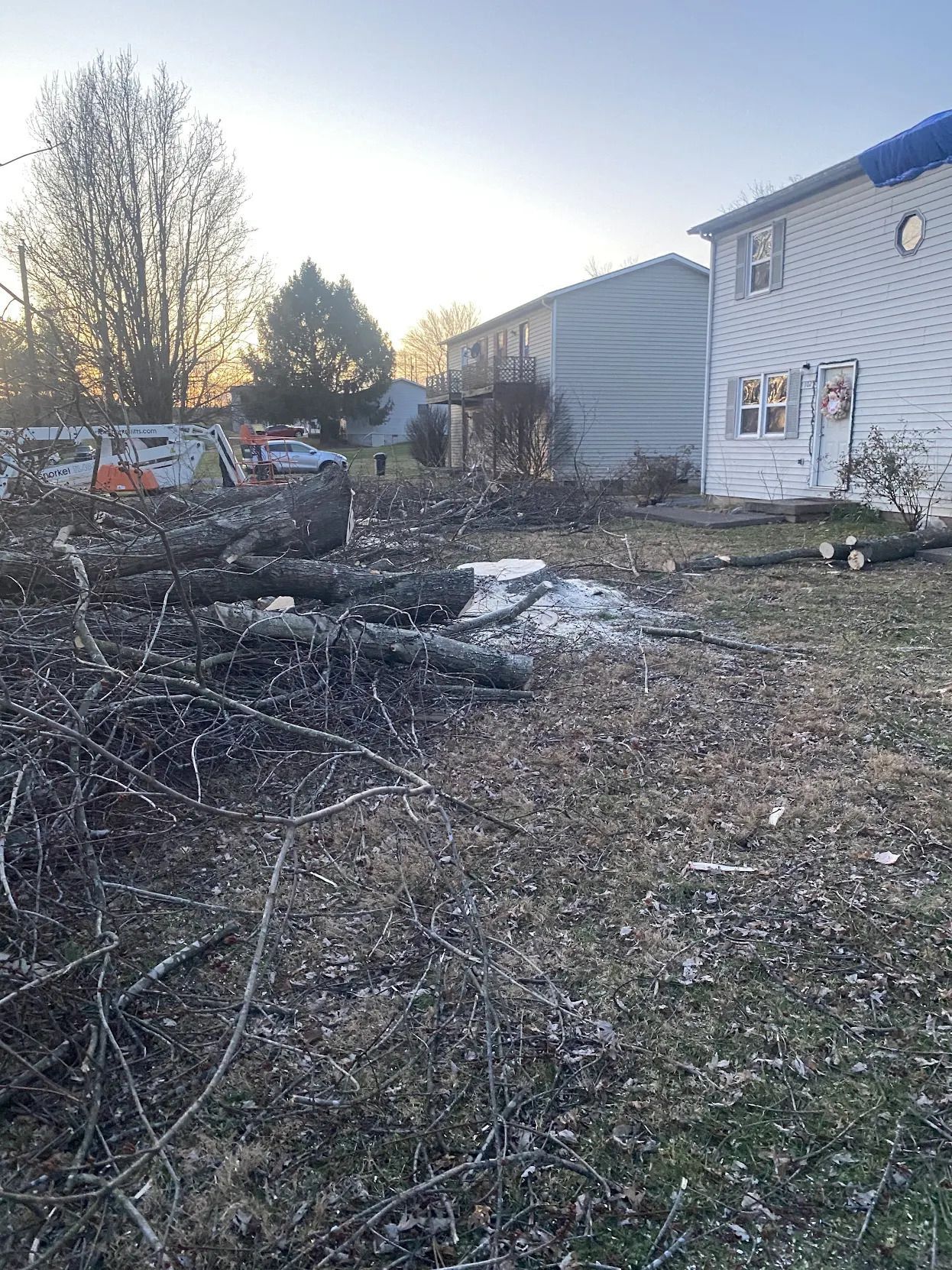 Tree & Stump Removal in Kentucky